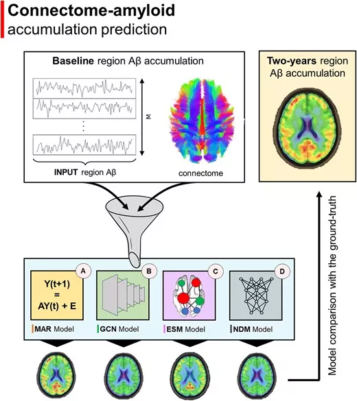 A breakthrough in the accuracy of prediction of the course of Alzheimer’s disease