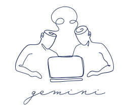 Projekt GEMINI Sano